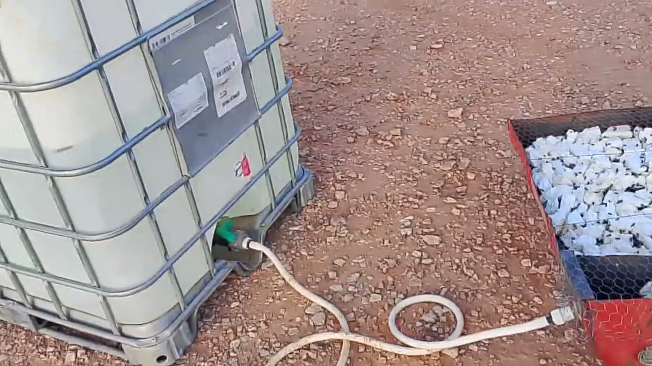 طريقة دكية لوضع الماء للنحل في الصحراء من طرف أخونا محمد من الأغواط