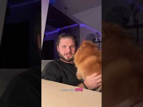 Читай описание ⬇️