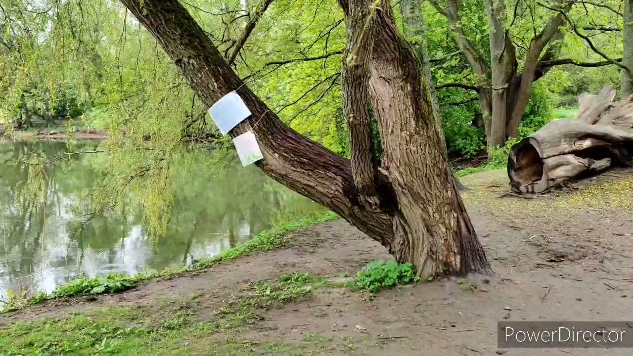 Lapinlahden historia- ja hyvinvointipolun esittely