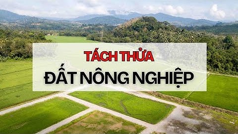 Điều kiện tách thửa đất nông nghiệp theo Luật Đất đai mới | Báo Lao Động