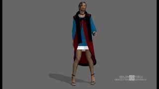 Taekkyon. Daz - MotionBuilder -3DS Max - MD Clo3D