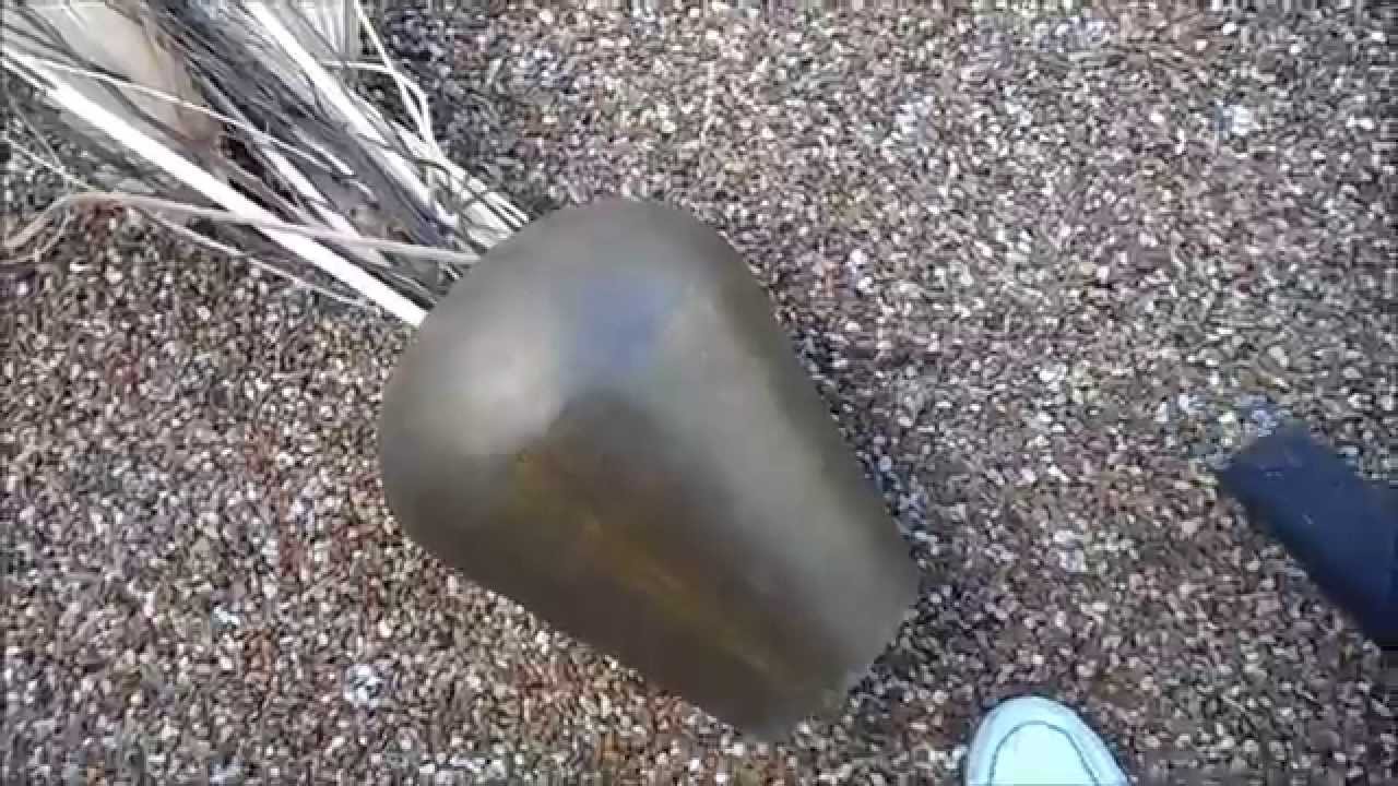 Dusting artificial plants YouTube