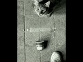خيبت توقعاتي