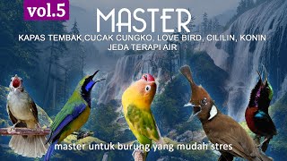 MASTER Vol5 Kapas tembak , Cucak Cungko , Love Bird , Cililin, konin Jeda terapi air.