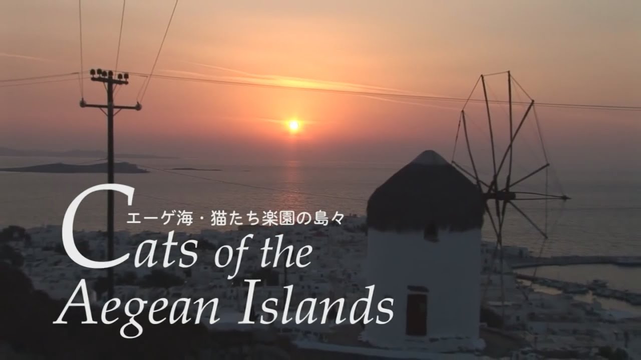 エーゲ海・猫たち楽園の島々』トレーラー・本編 ver.（パート一部抜粋