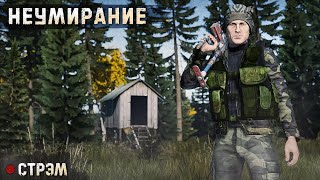 DayZ 1.24 | PERVAK | НЕУМИРАНИЕ