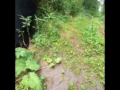 Усмань.Липецк.обл - YouTube