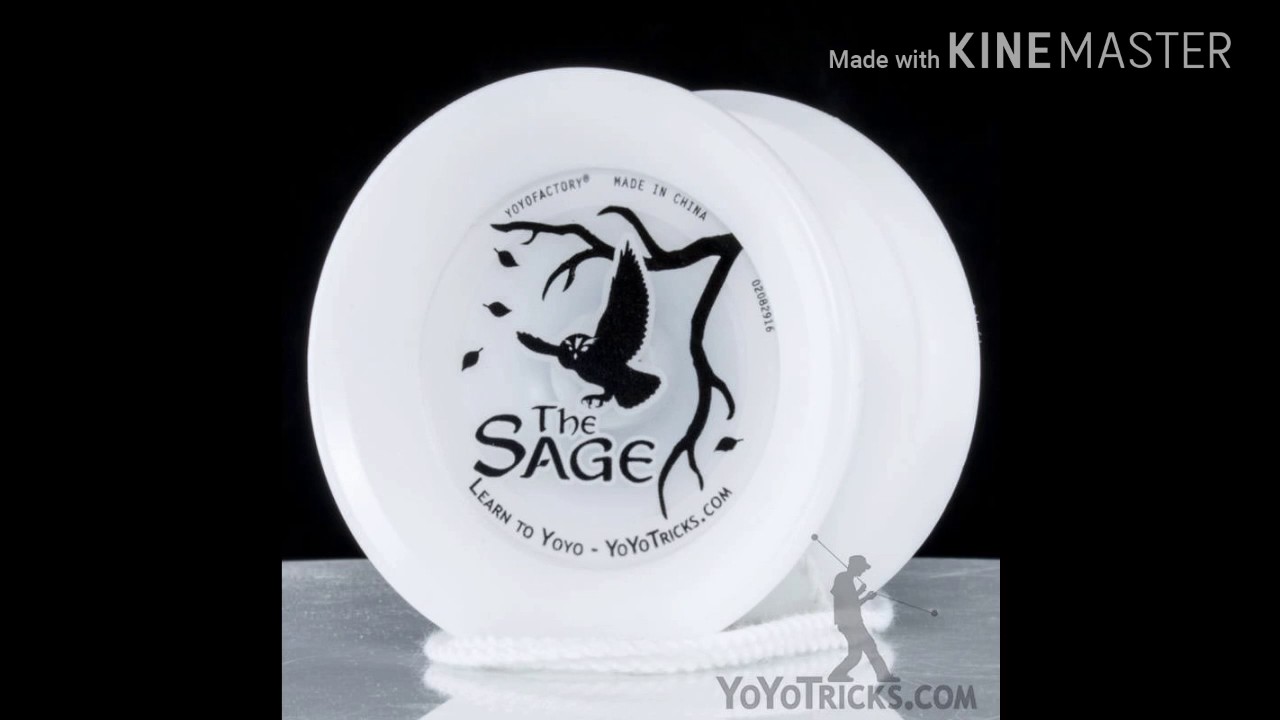 sage yoyo