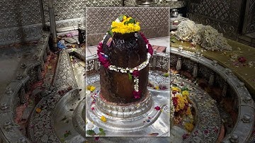 #ujjain मुझे दास रख mahakal status Ujjain Baba status Ujjain Avantika status Mahakal Ujjain status