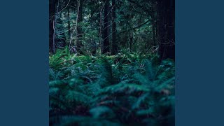 green to blue (Slowed Rain Version) - raysen
