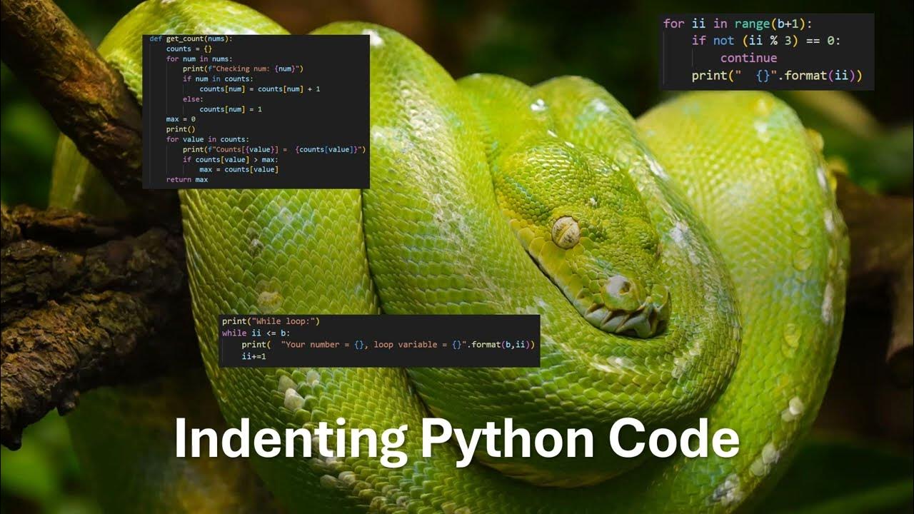 Indentation in Python - Yes, Whitespace Matters! - YouTube