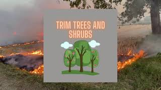 Wildfire Prepardness Tips: Before, During, & After