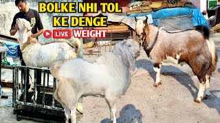 Bolke Nhi Tol Ke Denge Live Weight Kota Malwa Bakre At AK Goat’s