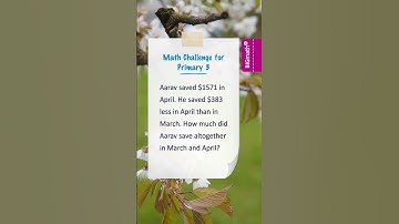 Grade 3 Math Quiz 108: Solve the Primary 3 Word Problem