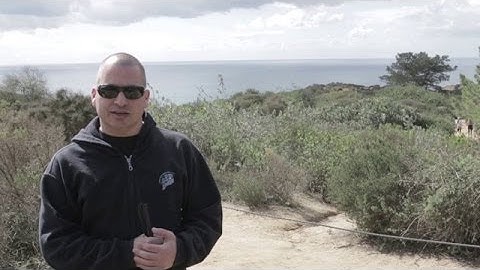 THE PRIORITY LIST by David Menasche