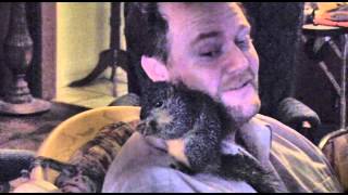 Kisses from a Squirrel