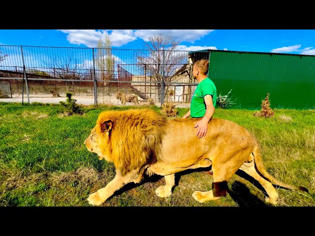 Porno lezbiyenlar ogizlarida axlat Krasnoe Selo fohishalari