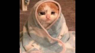 Mars Argo / Using you / SLOWED