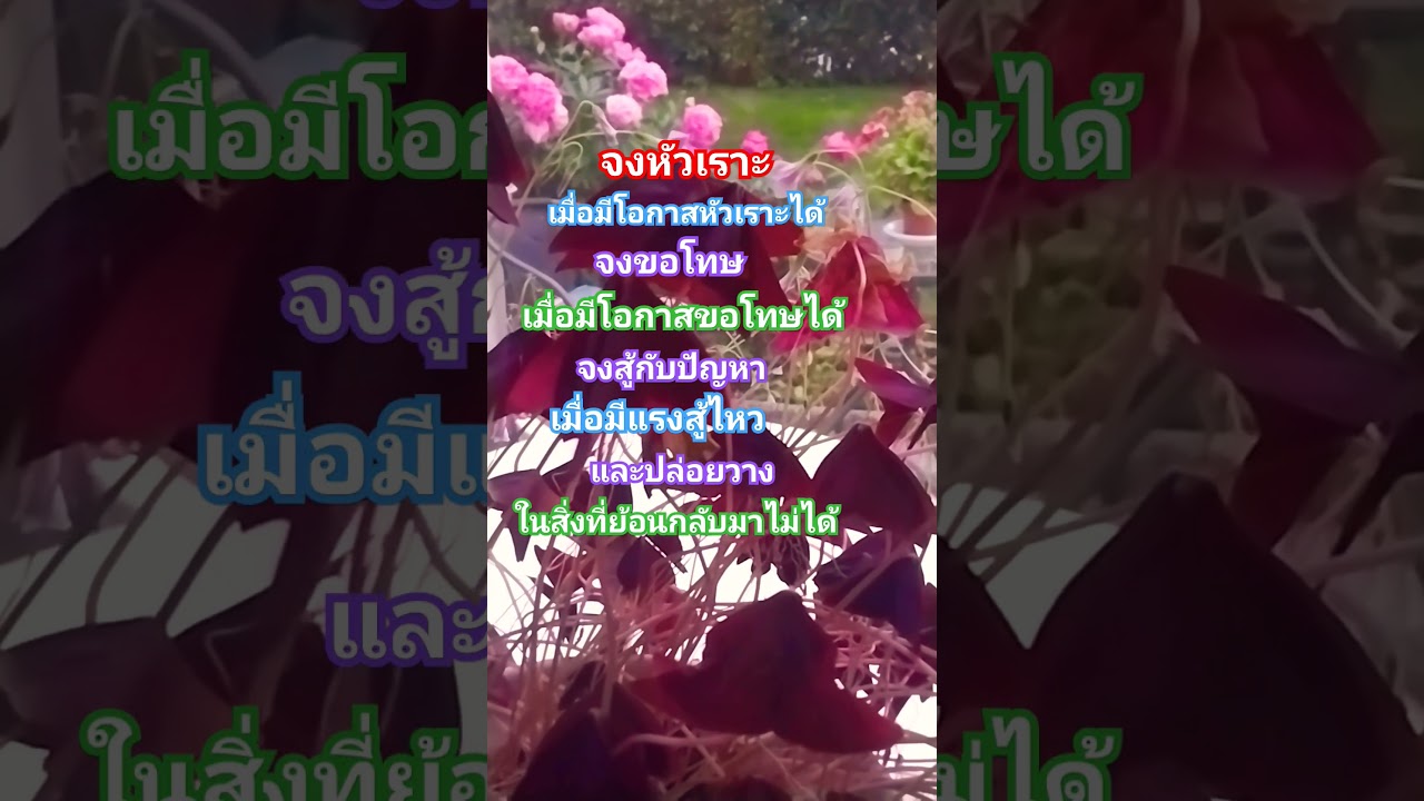คำคม#คำคม #คําพูดให้กําลังใจ #ข้อคิดดีๆ #คําคมชีวิต