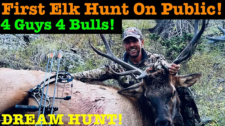 Bowhunting Bull Elk On Public Land! EVERYONE Shoots Bulls!