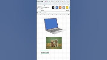 Excelde Nesne İçine Resim Yerleştir #excel #excelformulas #exceltips #exceltutorial