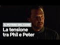 L’attrazione segreta tra PHIL e PETER - Il potere del cane | Netflix Italia