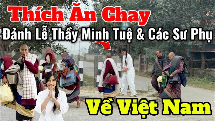 Vegetarians Pay Respects to Master Minh Tue and Other Masters Before Returning to Vietnam | The M...