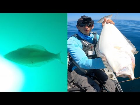 Halibut Fishing with an Underwater Camera POV!