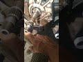 beli di tiktok katanya tinggal pelek/PNP ternyata tidak#bengkelracing #bengkelmesin #bengkelmotor