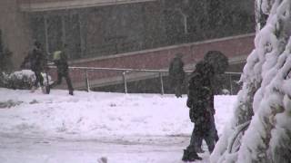 Difficile De Marcher Avec Toute Cette Neige