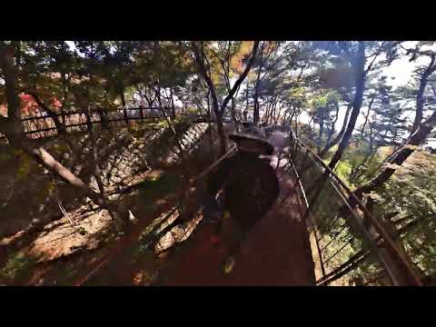 [SEOUL TOUR] 시간 순삭! 남산 등산, 하늘숲길 완주 브이로그 도심 속 힐링!