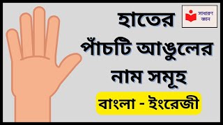 Name of Five Fingers in Bengali | GK Bangla Video