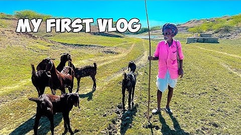 MY FIRST VLOG 🐼|| MY FIRST VIDEO 💭 ON YOUTUBE || #myfirstvlog #viral #trending