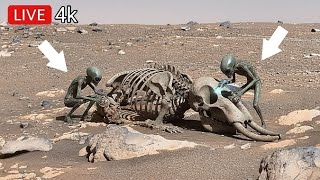 NASA Perseverance Rover Latest Video SOL 1816 | Mars New Images | Mars hd photos | Marte