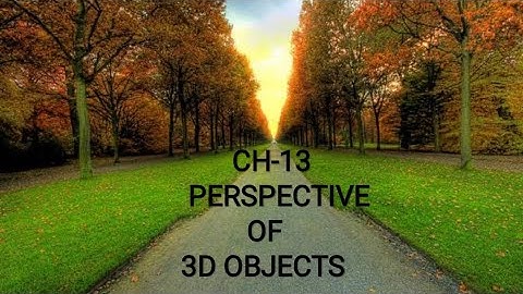 CH-13 PERSPECTIVE OF 3D OBJECTS (LET US ASSESS & OBJECTIVE MOVES)