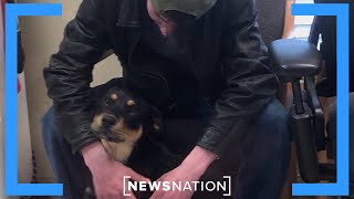 Mom sees son on news 1 year after reporting him missing | NewsNation