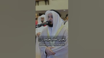 سورة الانبياء مشاري العفاسي #قرآن_كريم #القران #سورة_الأنبياء #تلاوة #تلاوات #الله #مشاري_العفاسي