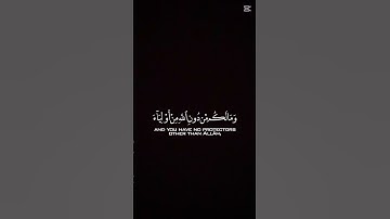 #القران_الكريم #المصحف #الشيخ_ياسر_الدوسري #اكسبلور #تلاوة_جميلة #تلاوة_خاشعة