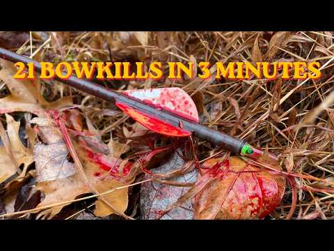 21 ARCHERY KILL SHOTS in 3 MINUTES! - Ultimate Bowhunting Compilation