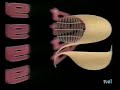TVE 2 Inicio De Emisión 1982 1983 