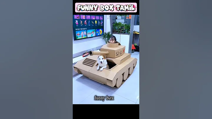 Video 11109691: cat fight funny pets, cat fighting animals funny, cat dog fight funny