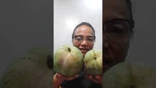 #mangga ang laki! #mango bigger than my face! grandmas reaction1#shorts#adm @AmazingPinayUSA