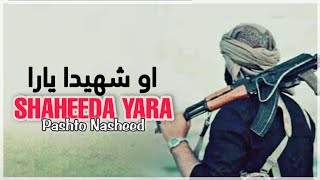 O Shaheeda Yara | Pashto Trana | Nazam | Nasheed | او شهيدا يارا | ترانه | نظم | نشيد. TK Studio