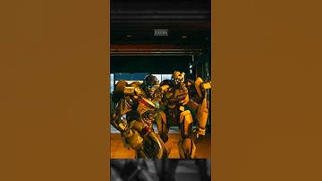 The reason behind Bumblebee