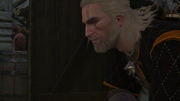 The Witcher 3: Wild Hunt | Count Reuven