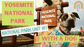 Yosemite National Park with a Dog