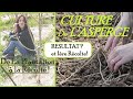 Comment planter les asperges au potager de la plantation  la rcolte 