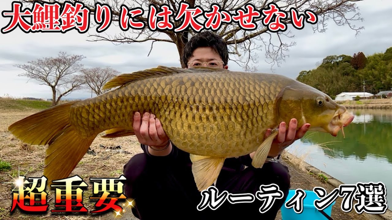 How I Went from a Beginner to Catching Giant Carp [7 Routines