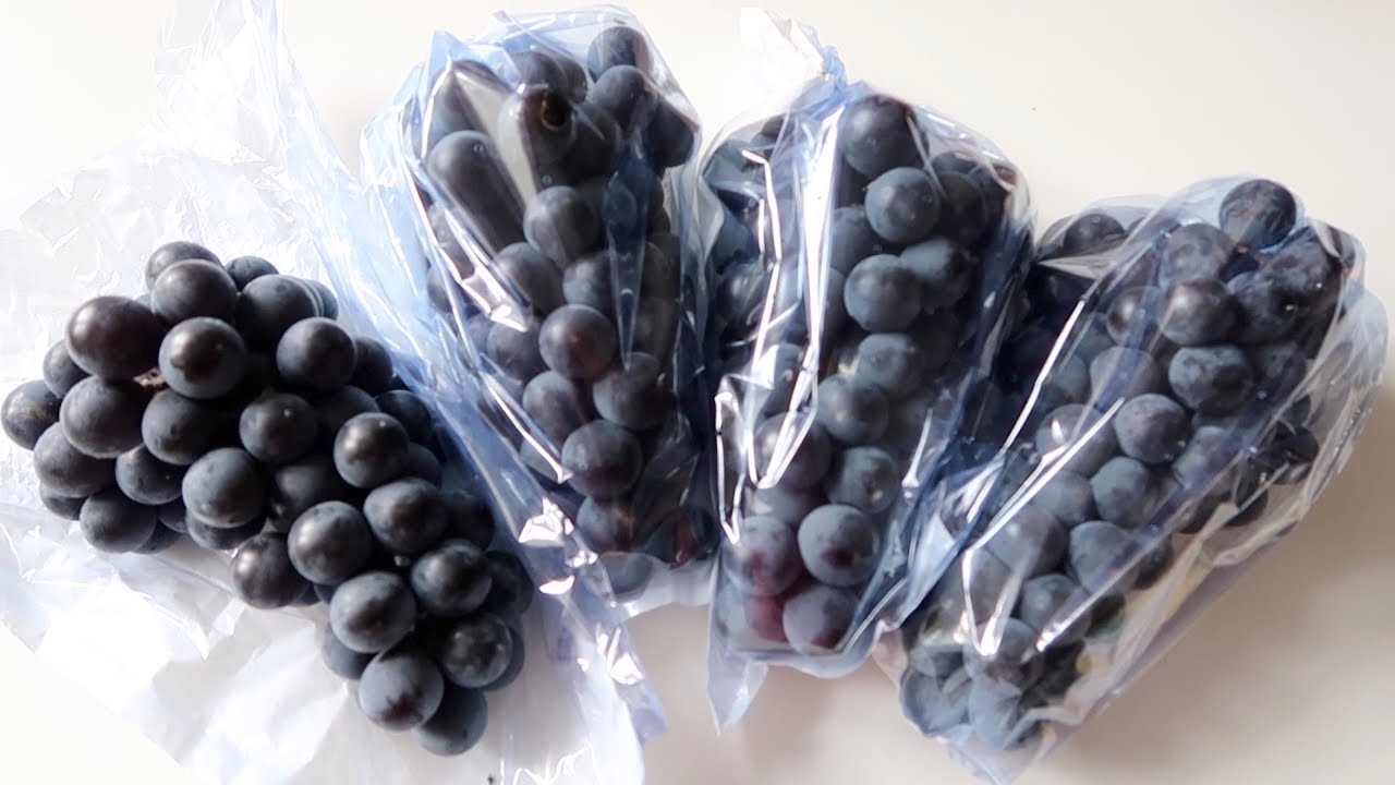 Amazing Korean Grapes From Hmart! Campbell Early Grapes