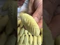حلوة الثمر الشمالية Gateaux Marocains Tres Simple Sweets Morroco